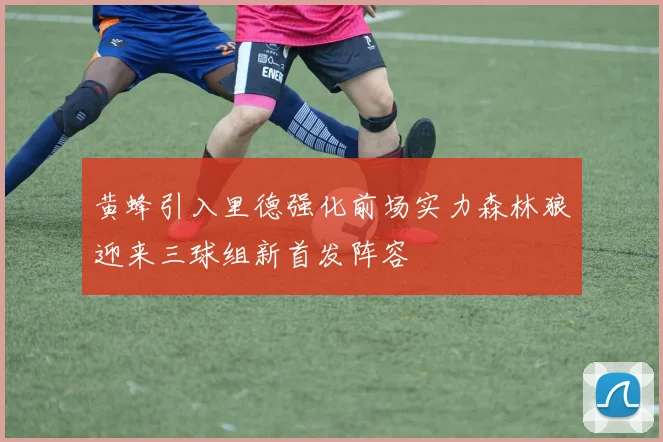 黄蜂引入里德强化前场实力森林狼迎来三球组新首发阵容