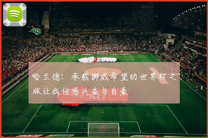 哈兰德：承载挪威希望的世界杯之旅让我倍感兴奋与自豪