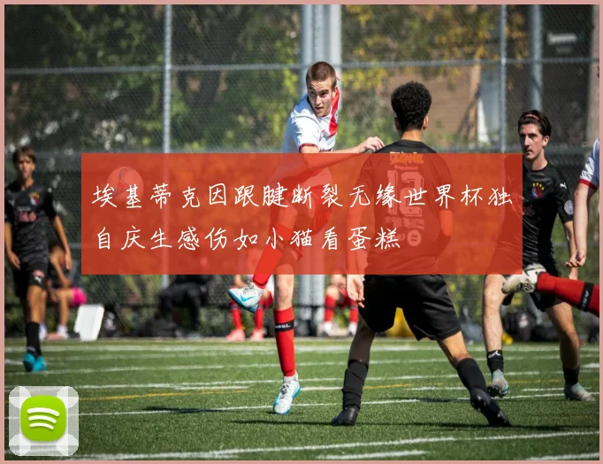 埃基蒂克因跟腱断裂无缘世界杯独自庆生感伤如小猫看蛋糕